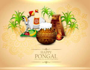 pongal celebration