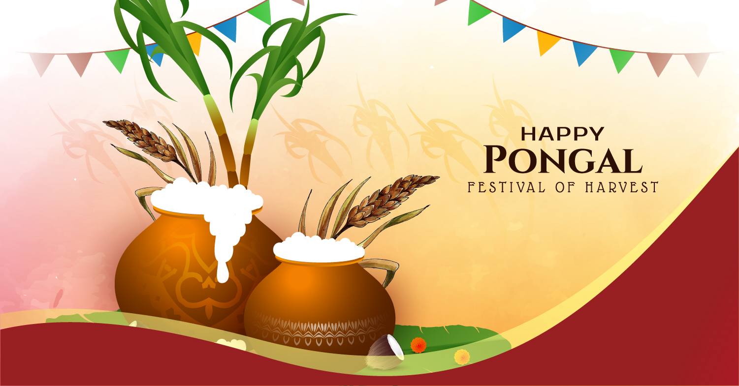 What is Pongal & How is it Celebrated? - Pooja Items Online | Puja Items at  Best Prices